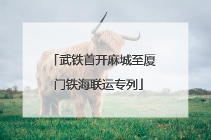 武铁首开麻城至厦门铁海联运专列
