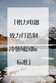 格力电器致力打造制冷领域国际标准