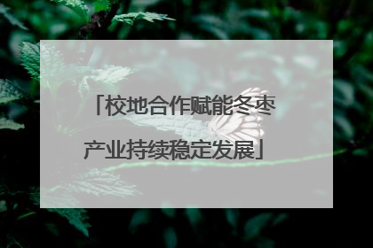 校地合作赋能冬枣产业持续稳定发展