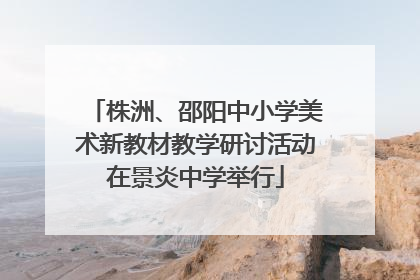 株洲、邵阳中小学美术新教材教学研讨活动在景炎中学举行