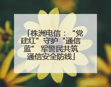 株洲电信：“党建红”守护“通信蓝” 军警民共筑通信安全防线