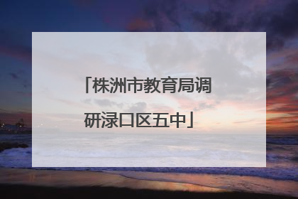 株洲市教育局调研渌口区五中