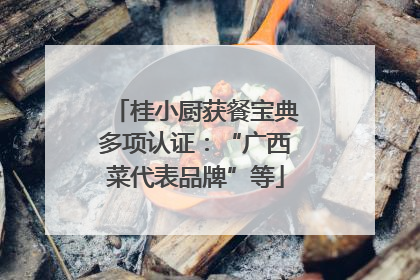 桂小厨获餐宝典多项认证：“广西菜代表品牌”等