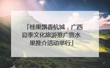 桂果飘香杭城，广西夏季文化旅游推广暨水果推介活动举行