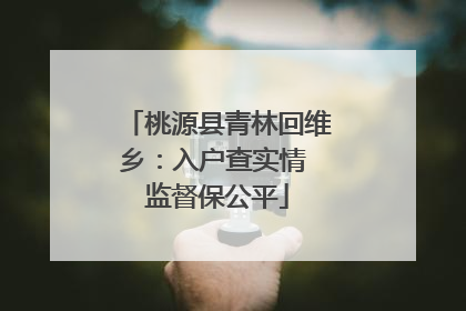 桃源县青林回维乡：入户查实情 监督保公平