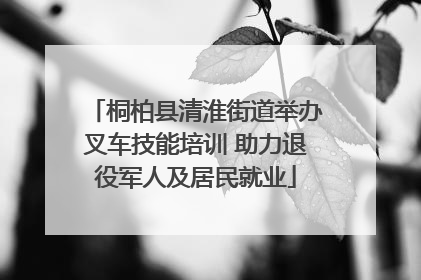 桐柏县清淮街道举办叉车技能培训 助力退役军人及居民就业