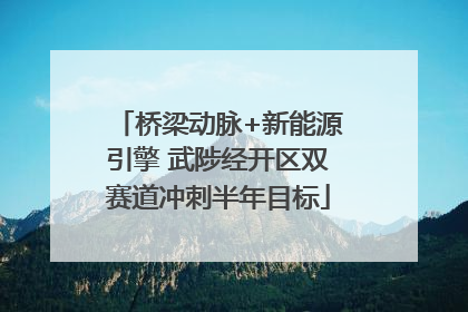 桥梁动脉+新能源引擎 武陟经开区双赛道冲刺半年目标