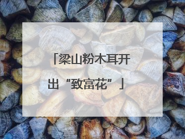 梁山粉木耳开出“致富花”