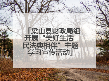 梁山县财政局组开展“美好生活 民法典相伴”主题学习宣传活动