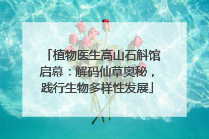 植物医生高山石斛馆启幕：解码仙草奥秘，践行生物多样性发展