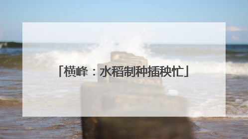 横峰：水稻制种插秧忙