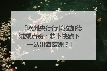 欧洲央行行长拉加德试乘点赞：萝卜快跑下一站出海欧洲？