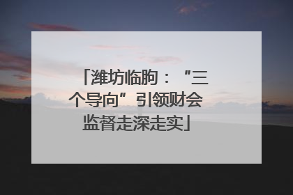 潍坊临朐：“三个导向”引领财会监督走深走实