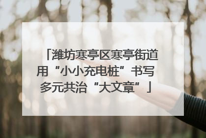 潍坊寒亭区寒亭街道用“小小充电桩”书写多元共治“大文章”