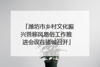 潍坊市乡村文化振兴暨移风易俗工作推进会议在诸城召开