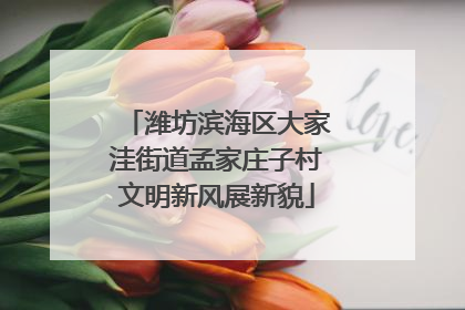 潍坊滨海区大家洼街道孟家庄子村文明新风展新貌