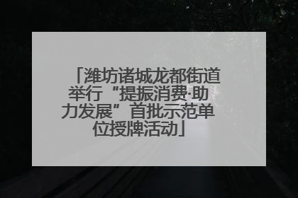 潍坊诸城龙都街道举行“提振消费·助力发展”首批示范单位授牌活动