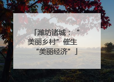 潍坊诸城：“美丽乡村”催生“美丽经济”