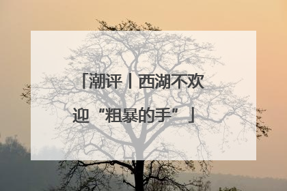 潮评丨西湖不欢迎“粗暴的手”
