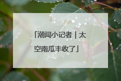 潮闻小记者｜太空南瓜丰收了