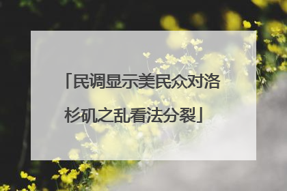民调显示美民众对洛杉矶之乱看法分裂