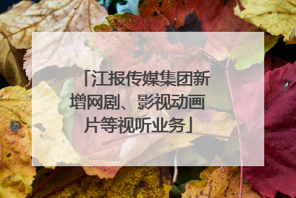江报传媒集团新增网剧、影视动画片等视听业务