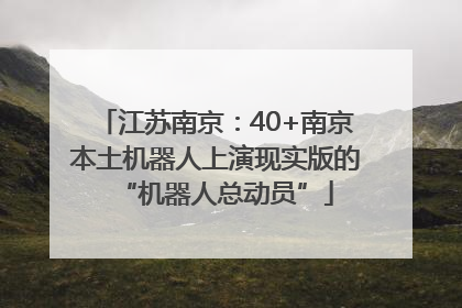 江苏南京：40+南京本土机器人上演现实版的“机器人总动员”