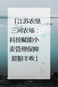 江苏农垦三河农场：科技赋能小麦管理保障夏粮丰收