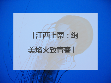 江西上栗：绚美焰火致青春
