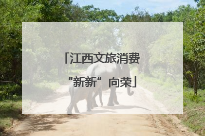 江西文旅消费“新新”向荣