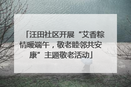 汪田社区开展“艾香粽情暖端午，敬老睦邻共安康”主题敬老活动