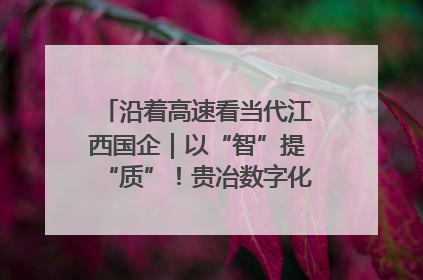 沿着高速看当代江西国企｜以“智”提“质”！贵冶数字化转型迈出新步伐