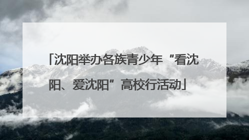 沈阳举办各族青少年“看沈阳、爱沈阳”高校行活动