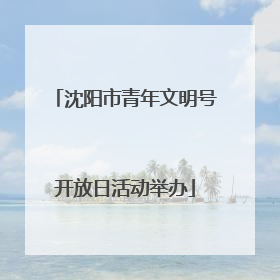 沈阳市青年文明号开放日活动举办