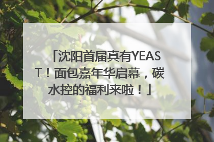 沈阳首届真有YEAST！面包嘉年华启幕，碳水控的福利来啦！