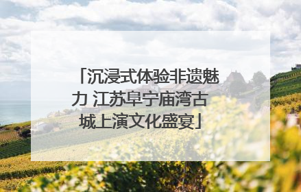 沉浸式体验非遗魅力 江苏阜宁庙湾古城上演文化盛宴