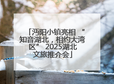 沔阳小镇亮相 “知音湖北，相约大湾区” 2025湖北文旅推介会
