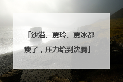 沙溢、贾玲、贾冰都瘦了，压力给到沈腾