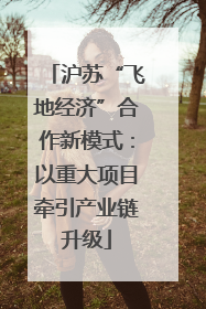 沪苏“飞地经济”合作新模式：以重大项目牵引产业链升级