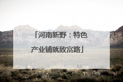 河南新野：特色产业铺就致富路