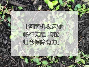 河南机收运输畅行无阻 颗粒归仓保障有力