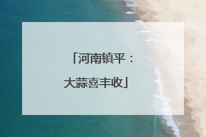河南镇平：大蒜喜丰收