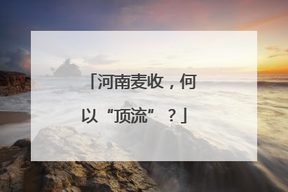 河南麦收，何以“顶流”？