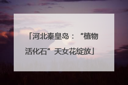 河北秦皇岛：“植物活化石”天女花绽放
