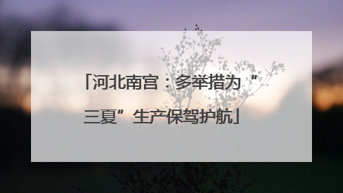 河北南宫：多举措为“三夏”生产保驾护航