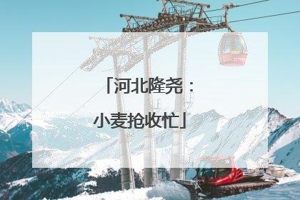 河北隆尧：小麦抢收忙