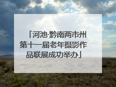 河池·黔南两市州第十一届老年摄影作品联展成功举办
