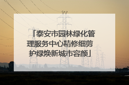 泰安市园林绿化管理服务中心精修细剪护绿焕新城市容颜