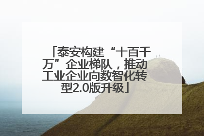 泰安构建“十百千万”企业梯队，推动工业企业向数智化转型2.0版升级