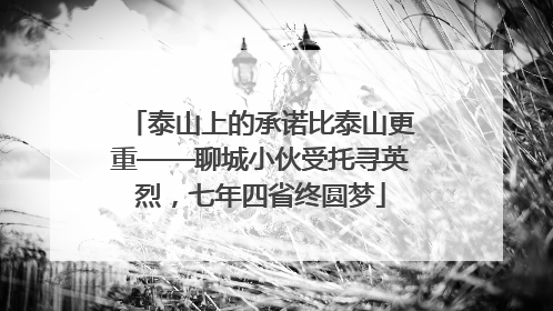 泰山上的承诺比泰山更重——聊城小伙受托寻英烈，七年四省终圆梦